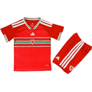 Ensemble 2026 - Tuta Gales Niños | maillotdefootpersonnalise