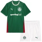 SE Palmeiras Ensemble 2026 2027 - Survêtement SE Palmeiras | maillotdefootpersonnalise