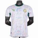 Sénégal Maillot 2026 - Maillot Sénégal | maillotdefootpersonnalise