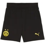 BV 09 Borussia Dortmund Maillot 2024 2025 | maillotdefootpersonnalise