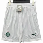 SE Palmeiras Maillot 2025 2026 - Maillot De Palmeiras | maillotdefootpersonnalise