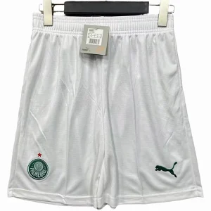 SE Palmeiras Maillot 2025 2026 - Maillot De Palmeiras | maillotdefootpersonnalise