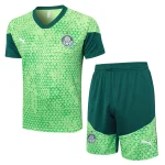 Ensemble 2025 2026 - Maillot De Palmeiras | maillotdefootpersonnalise