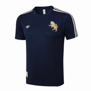 Survêtement 2025 2026 - Maillot Juventus Entrainement | maillotdefootpersonnalise