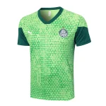 Survêtement 2025 2026 - Maillot De Palmeiras | maillotdefootpersonnalise