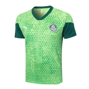 Survêtement 2025 2026 - Maillot De Palmeiras | maillotdefootpersonnalise