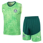 Ensemble 2025 2026 - Maillot De Palmeiras | maillotdefootpersonnalise