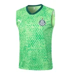 Survêtement 2025 2026 - Maillot De Palmeiras | maillotdefootpersonnalise