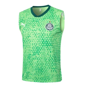 Survêtement 2025 2026 - Maillot De Palmeiras | maillotdefootpersonnalise