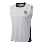 Survêtement 2026 - Maillot Portugal Coupe Du Monde 2026 | maillotdefootpersonnalise