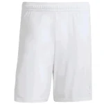 Ajax Maillot 2025 2026 - Maillot Ajax | maillotdefootpersonnalise