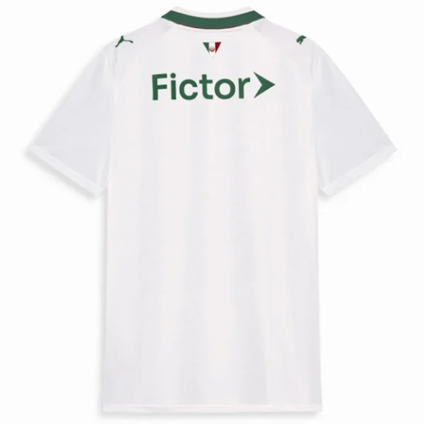 Maillot 2026 2027 - Maillot De Palmeiras | maillotdefootpersonnalise