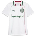 Maillot 2026 2027 - Maillot De Palmeiras | maillotdefootpersonnalise