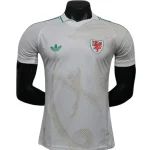 Pays de Galles Maillot 2026 - Maillot Pays De Galles | maillotdefootpersonnalise