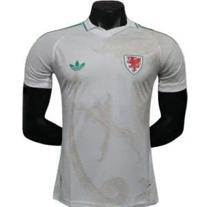 Pays de Galles Maillot 2026 - Maillot Pays De Galles | maillotdefootpersonnalise