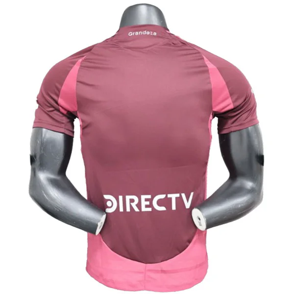 River Plate Maillot 2024 2025 - Maillot River Plate | maillotdefootpersonnalise