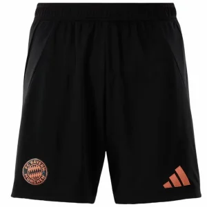 Bayern Munich Maillot 2024 2025 | maillotdefootpersonnalise