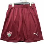 Fluminense Maillot 2026 2027 - Maillot Fluminense | maillotdefootpersonnalise
