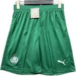 SE Palmeiras Maillot 2025 2026 - Maillot De Palmeiras | maillotdefootpersonnalise
