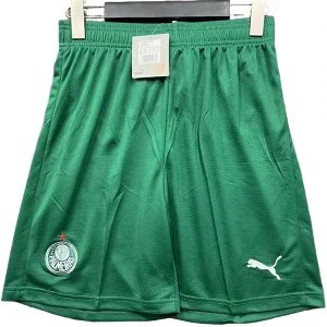 SE Palmeiras Maillot 2025 2026 - Maillot De Palmeiras | maillotdefootpersonnalise