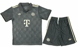 Bayern Munich Ensemble 2024 2025 Gris | maillotdefootpersonnalise