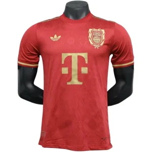 Bayern Munich Maillot 2024 2025 | maillotdefootpersonnalise