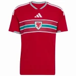 Pays de Galles Maillot 2026 - Maillot Pays De Galles | maillotdefootpersonnalise