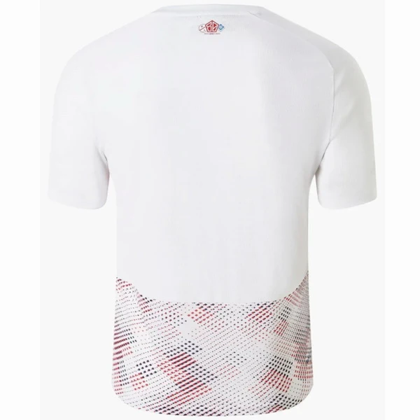 Maillot 2024 2025 - Losc Lille Maillot 2025 | maillotdefootpersonnalise