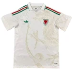 Pays de Galles Maillot 2026 - Maillot Pays De Galles | maillotdefootpersonnalise