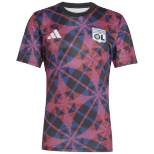 Lyonnais Maillot 2025 2026 - Maillot Lyonnais 2025 | maillotdefootpersonnalise