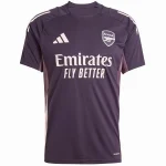 Arsenal Maillot 2025 2026 Pourpre - Bayern Munich And Arsenal | maillotdefootpersonnalise
