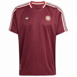 Bayern Munich Maillot 2024 2026 | maillotdefootpersonnalise