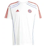 Bayern Munich Maillot 2025 2026 | maillotdefootpersonnalise