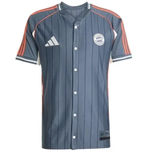 Bayern Munich Maillot 2025 2026 Gris | maillotdefootpersonnalise