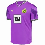 BV 09 Borussia Dortmund Maillot 2025 2026 | maillotdefootpersonnalise