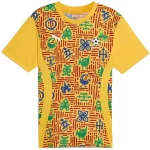 Ghana Maillot 2025 - Maillot Ghana | maillotdefootpersonnalise