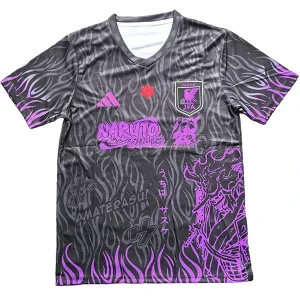 Japon Maillot 2026 Pourpre - Maillot Japon Coupe Du Monde 2026 | maillotdefootpersonnalise