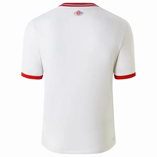 Maillot 2024 2025 - Losc Lille Maillot 2025 | maillotdefootpersonnalise