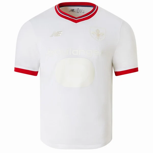 Maillot 2024 2025 - Losc Lille Maillot 2025 | maillotdefootpersonnalise