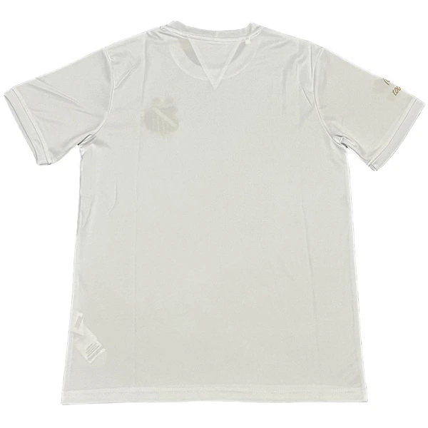 Santos Maillot 2025 2026 - Maillot Santos | maillotdefootpersonnalise