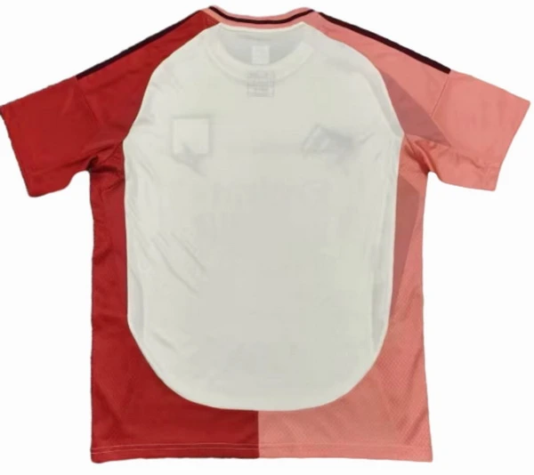 Lyonnais Maillot 2024 2025 - Maillot Lyonnais 2025 | maillotdefootpersonnalise