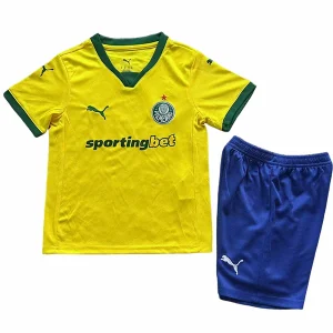 Ensemble 2025 2026 - Maillot De Palmeiras | maillotdefootpersonnalise