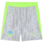Manchester City Maillot 2025 2026 Gris - Maillot Manchester City | maillotdefootpersonnalise