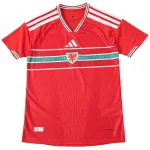Pays de Galles Maillot 2026 - Maillot Pays De Galles | maillotdefootpersonnalise