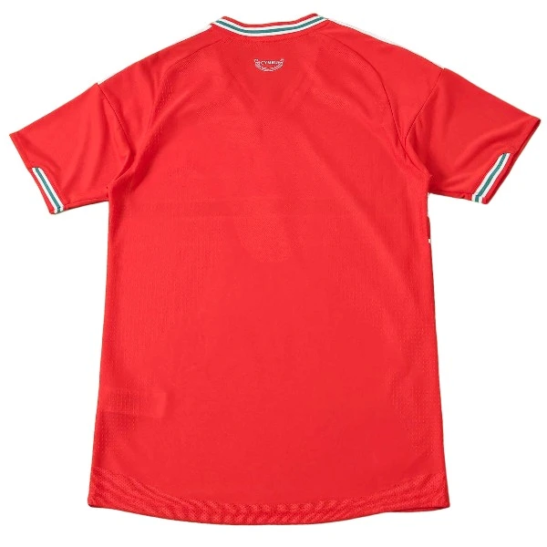 Pays de Galles Maillot 2026 - Maillot Pays De Galles | maillotdefootpersonnalise