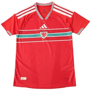 Pays de Galles Maillot 2026 - Maillot Pays De Galles | maillotdefootpersonnalise