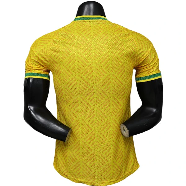 Sudafrica Maillot 2026 - Maillot Sudafrica 25 26 | maillotdefootpersonnalise