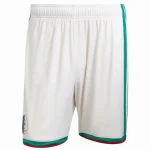 Algérie Maillot 2026 - Maillot Algérie | maillotdefootpersonnalise
