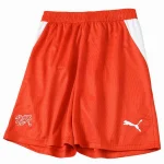 Suisse Maillot 2026 - Maillot Suisse Coupe Du Monde 2026 | maillotdefootpersonnalise