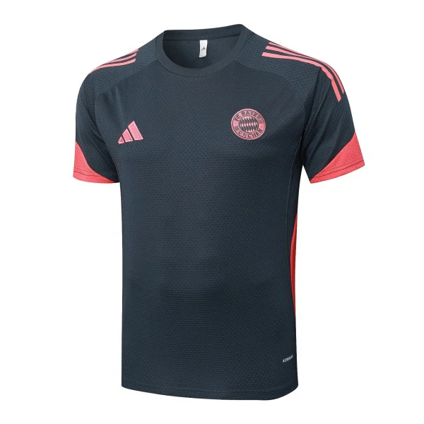 Bayern Munich Maillot 2025 2026 Gris | maillotdefootpersonnalise